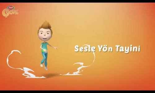 Aslan - Sesle Yön Tayini