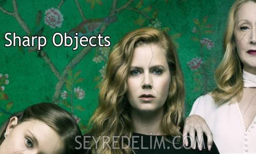 Sharp Objects 1. Sezon 3. Bölüm İzle