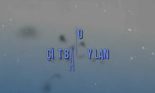 Var Olduğuna İnanamayacağınız 10 Evcil Hayvan