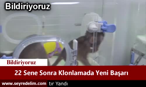 22 Sene Sonra Klonlamada Yeni Başarı