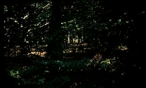 Alev'den Tanışma Taktiği