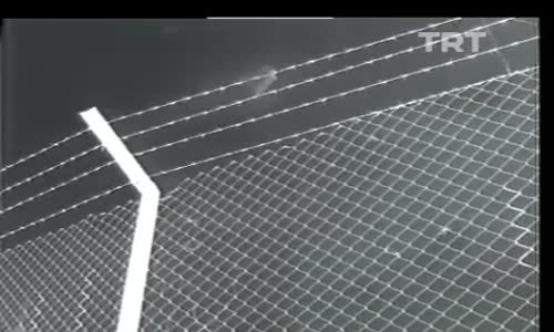 Nil Burak-Dokuz Taş