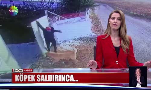 Köpek saldırınca...