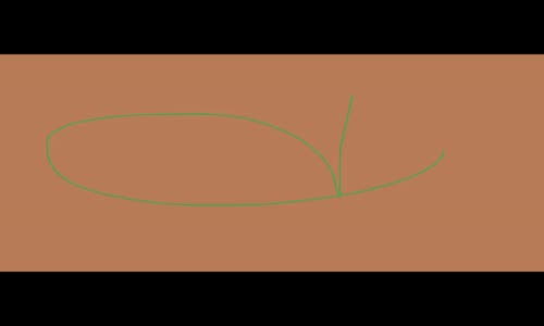 Goksel_-_Colde_Bi__Vaha