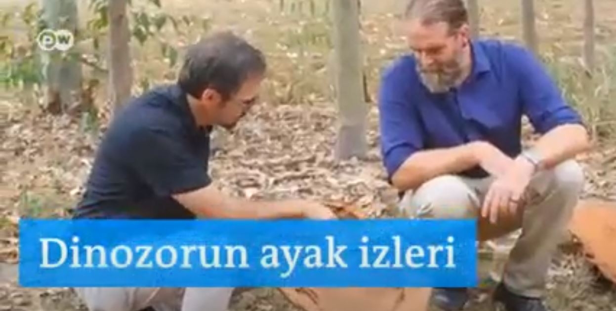 Avustralya′nın Gerçek ″Jurassic Park′ı″