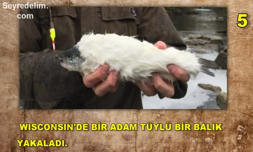 Gerçek Olduğuna İnanamayacağınız 5 Ürkütücü Olay