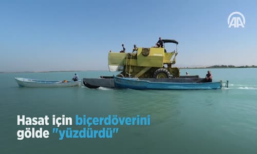 Hasat İçin Biçerdöverini Gölde  Yüzdürdü