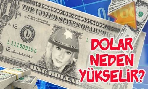 Dolar Neden Yükselir