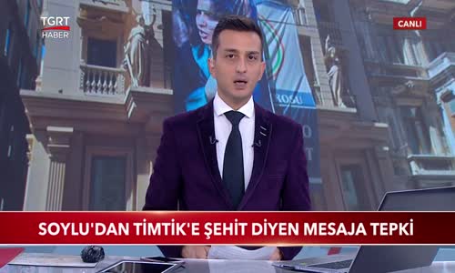 Bakan Soylu'dan Timtik'e Şehit Diyen Mesaja Tepki