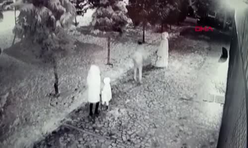 Tekme ve Yumruklarla Kardan Adamın Parçalanması