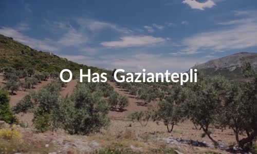 O Has Gaziantepli