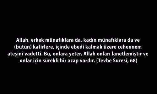Kediciklerin Münafıkların Defolup Gitmesini Kutlaması