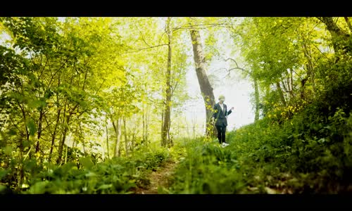 Mithat Dalgıç - Beceremedim