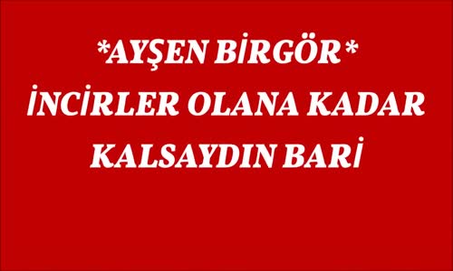 Ayşen Birgör   İncirler Olana Kadar...