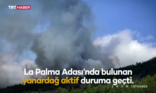 Kanarya Adaları'ndaki yanardağ faaliyete geçti
