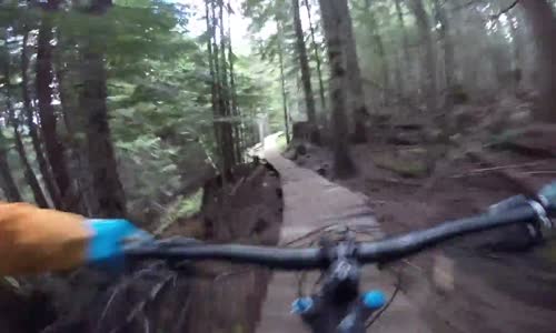 Bisikletlilerin Önüne Çıkan Yavru Ayı