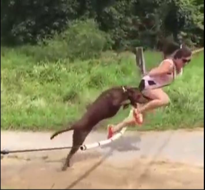 Sakarlıkta sınır tanımayanlar