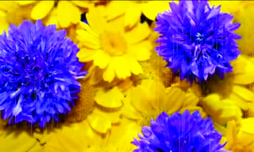 Hüseyi̇n Altın - Güzel Güzel