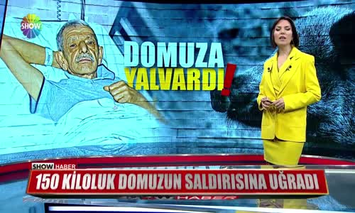 Domuz Saldırısından Tatlı Dille Kurtulan Amca