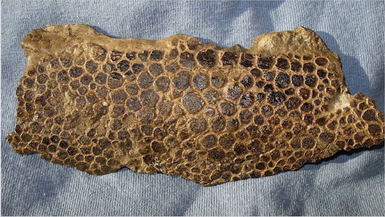 Çok İlginç 20 Fotoğraf