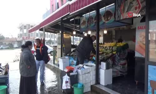 Yasak kalktı hamsi tezgahtaki yerini aldı 
