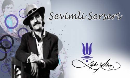 Sevimli Serseri 1971 Türk Filmi İzle