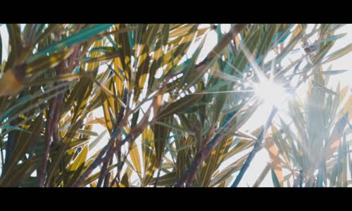 Deeperise & Patron & Yaprak Çamlıca - Unut Geçmişi 