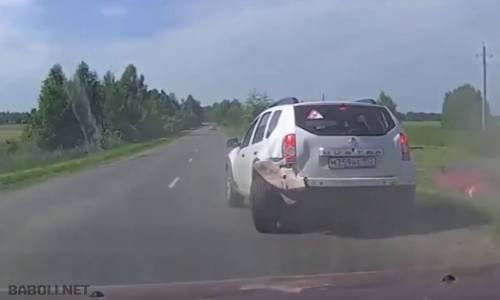 Trafik Sığırları