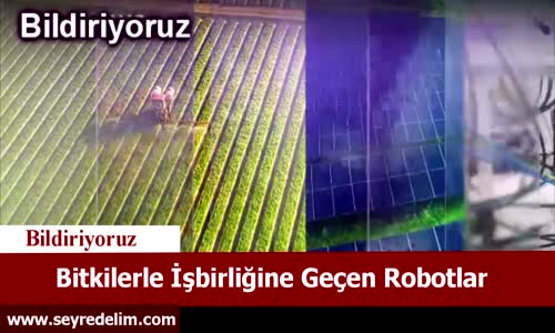 Bitkilerle İşbirliğine Geçen Robotlar