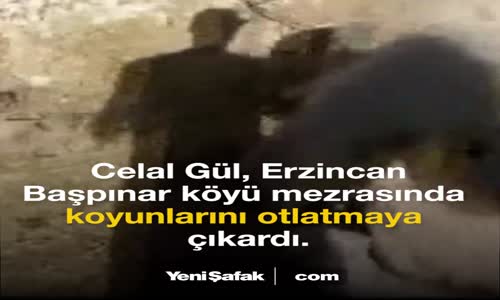 Kuzunun Başında Sabaha Kadar Nöbet Tuttu