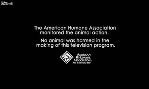 Kadının G Kuvvetiyle İmtihanı