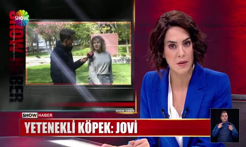 Yetenekli köpek- Jovi