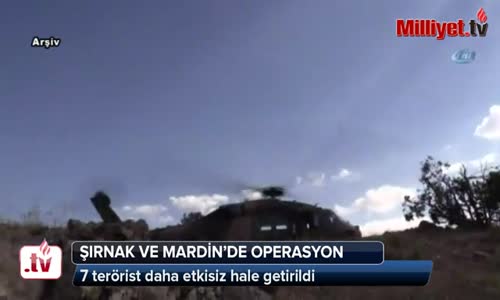 Şırnak ve Mardin'de 12 Terörist Etkisiz Hale Getirildi