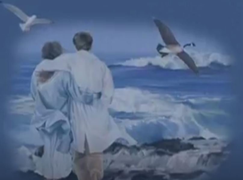 Zeki Muren - Seni Nasil Sevdim