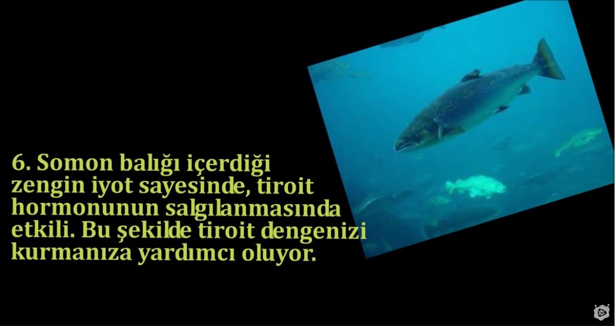 Yağ Yakan En İyi 20 Yiyecek !