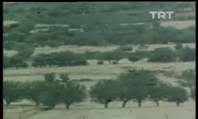 Adıyaman'ın Tarihi