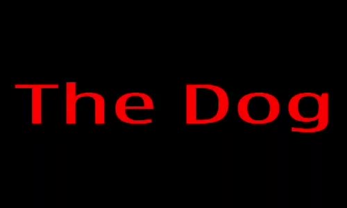 Köpek ile Tavuk seks