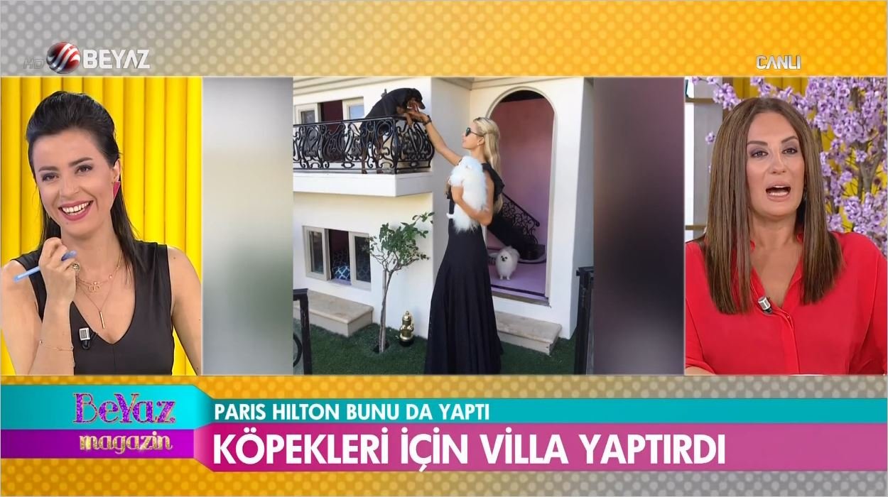 Hilton Köpeklerine Havuzlu Villa Yaptırdı - İşte Maliyeti