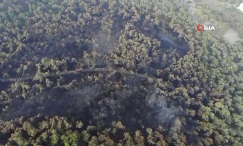 Heybeliada’da Yanan Ormanlık Alanın Son Durumu Görüntülendi