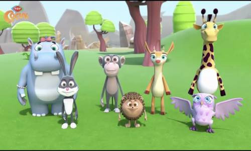 Akıllı Tavşan  Momo - Hasta Yavru Kaplumbağa