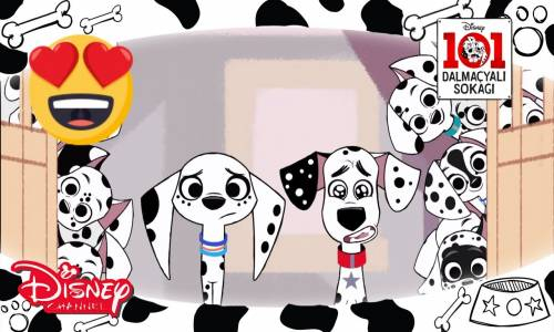 101 Dalmaçyalı Sokağı - Dalmaçyalılar Çöpçatanlık Peşinde
