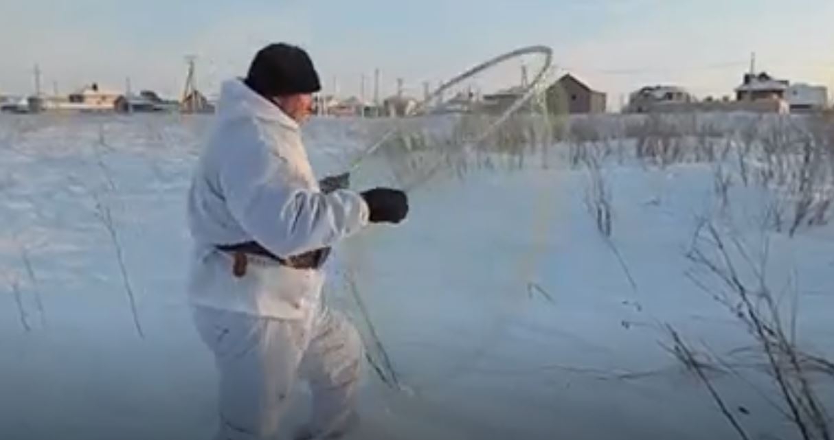 Kurşun Atmadan Tavşan  Avlama