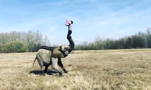 Sınırları Zorlayan Gösteri