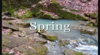 Klasik Müzik - Four Seasons - Vivaldi