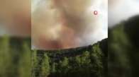 Ankara'da orman yangını 