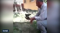 Dünyanın En Şanssız Güvercini