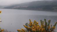Efsanevi Loch Ness Canavarı