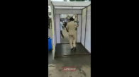 Dezenfektan Kabininin Gazabına Uğrayan Polis 