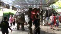 Tayland Yeni Yılı Fillerle Kutladı