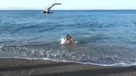 Denizden Çıkarak Gomis Taklidi Yapan Kız